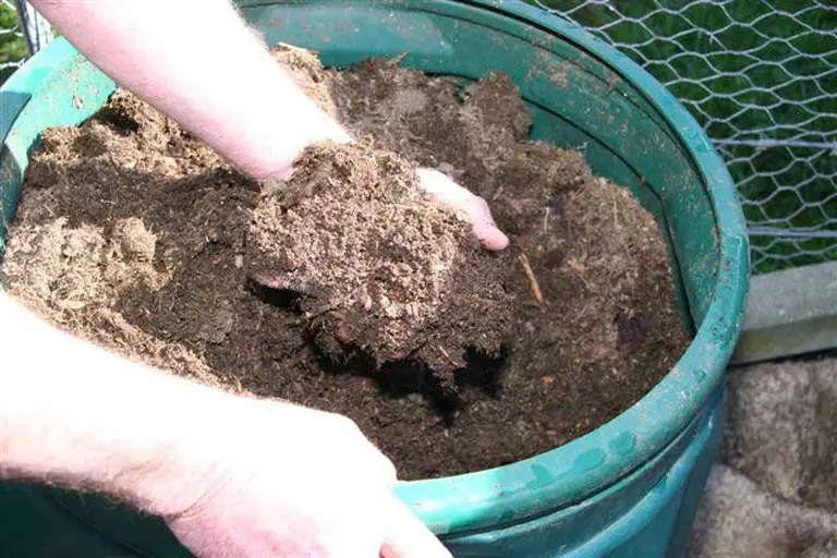 Imagine
