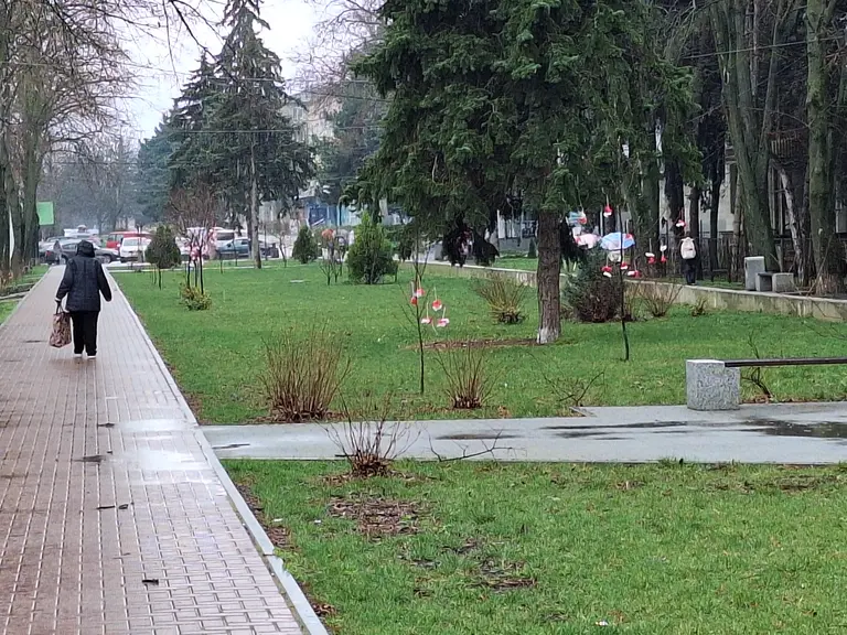 20260331-122216.jpg